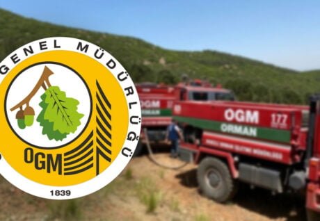 Orman Genel Müdürlüğü 64 Geçici İşçi Alımı Başladı